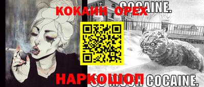 гидропоника Новозыбков