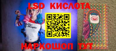 прущие грибы Новодвинск