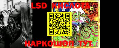 прущие грибы Новодвинск