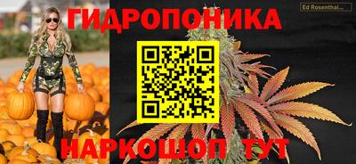 гидропоника Новозыбков