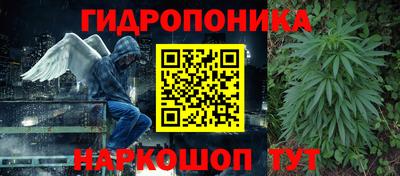 гидропоника Новозыбков
