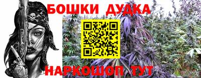 прущие грибы Новодвинск