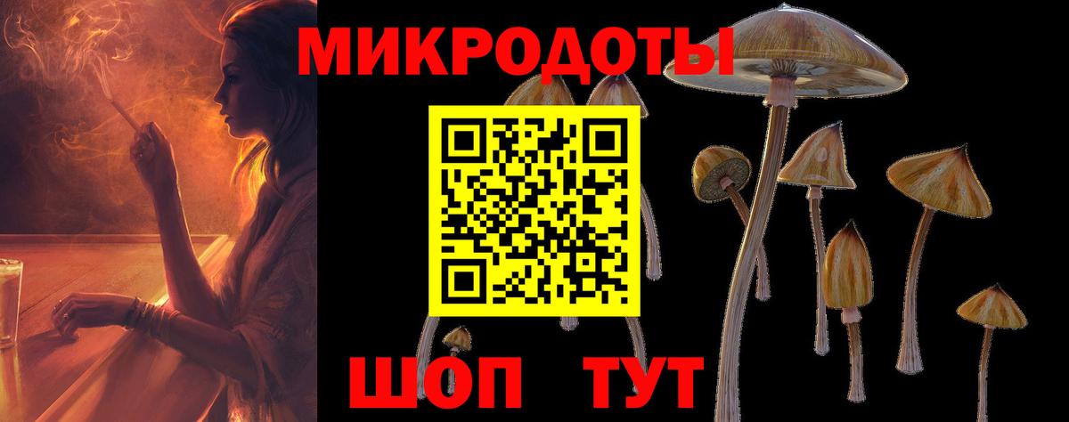 Галлюциногенные грибы ЛСД Чайковский