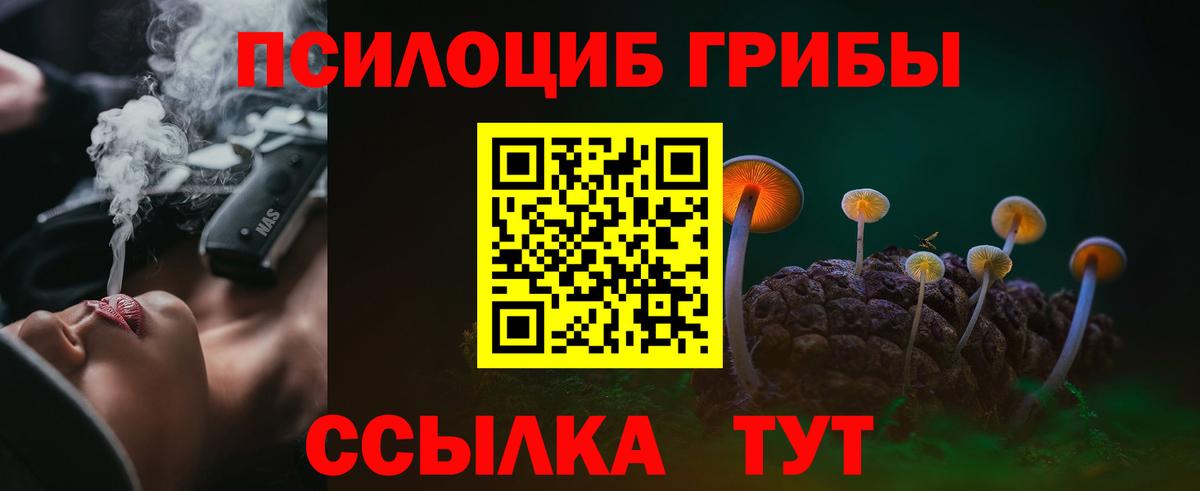 Чайковский  Галлюциногенные грибы прущие грибы  Вход с VPN 